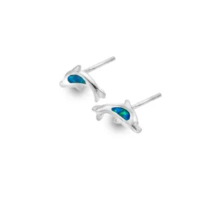 Blue dolphin studs