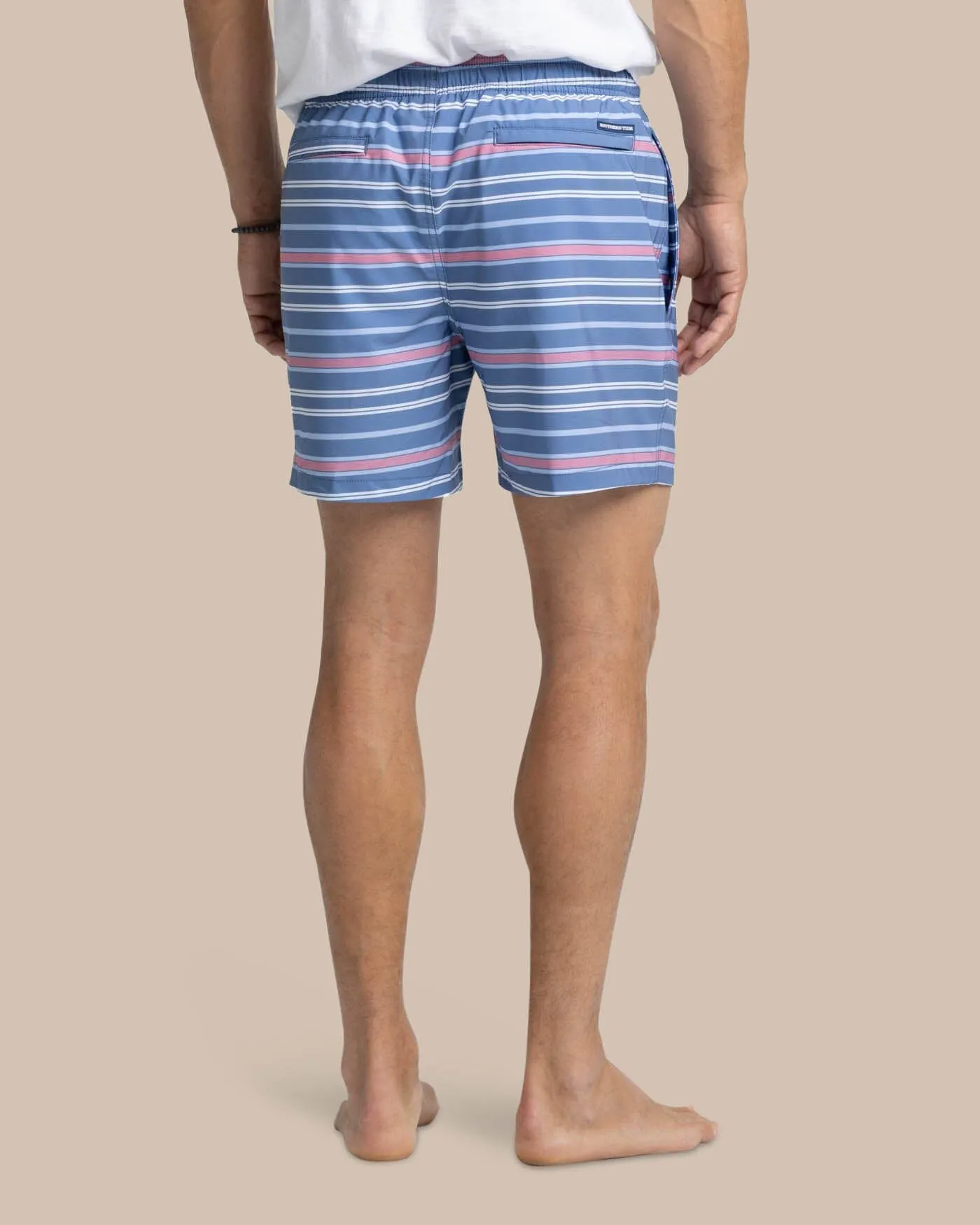 Breton Stripe Swim Trunk